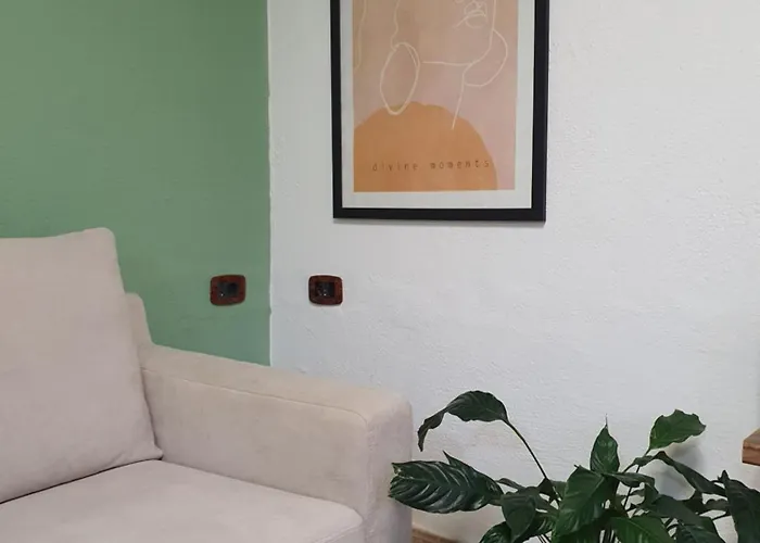 Away From * Shkodër