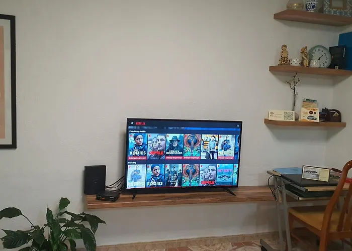 Away From * Shkodër